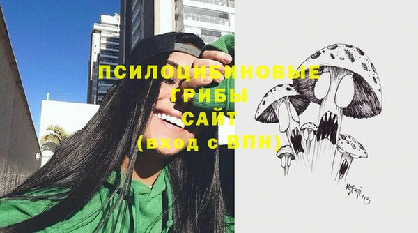 меф Алексин